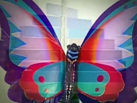 Baby Einstein S01E15 - Baby Mozart Music Festival (1)