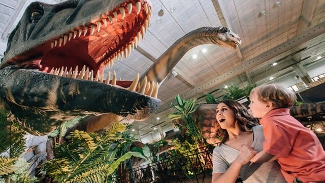 Dinosaurs Tour, la mayor exposición de dinosaurios animatrónicos, llegará a Córdoba a finales de abril