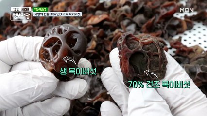 ☾⋆⁺₊⋆태양의 선물☾⋆⁺₊⋆  비타민D 가득한 목이버섯