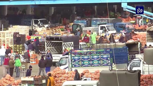 وزارة الزراعة توقف تصدير الخيار بعد الارتفاع الكبير في أسعارها