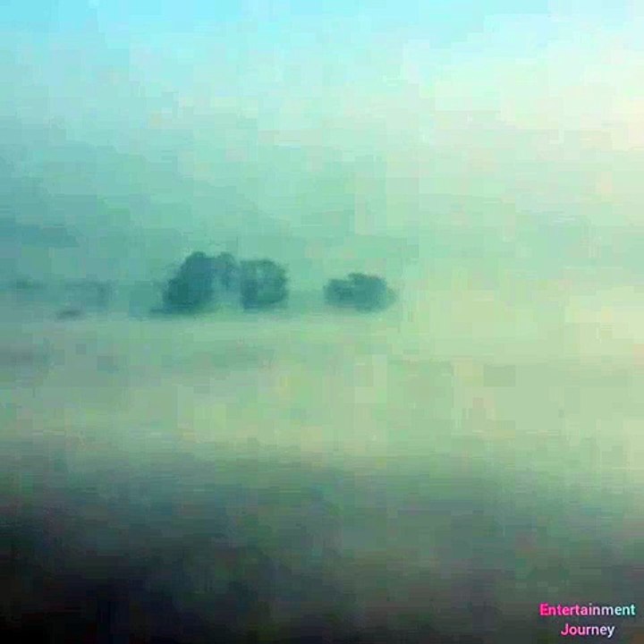 Time lapse of nature #fog #clarity