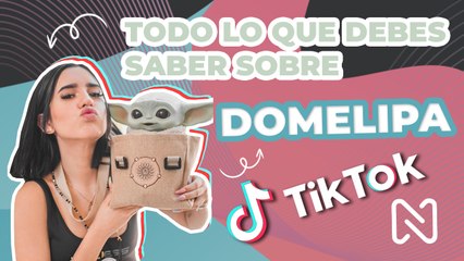 TODO lo que debes saber sobre Domelipa - TikTok Abril 2021