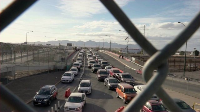 Dog Sniffs Out Drugs Stuffed in Breakfast Burritos, Proves that Food Isn't a Distraction