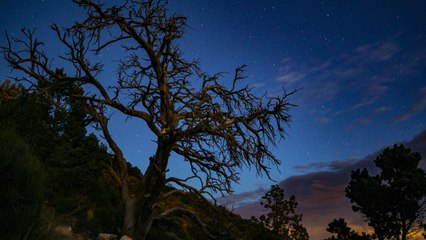 This Colorado National Park Was Just Named One of the Best Places for Stargazing in the U.