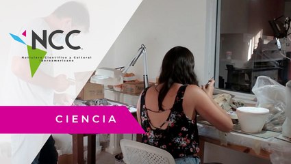 En Argentina encuentran fósiles de ciervo con ADN en buen estado de conservación