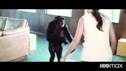 Lucy The Human Chimp Documentary Movie