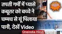 Viral Video: प्यासे कबूतर को बच्चे ने चम्मच से यूं पिलाया पानी, दिल छू लेगा Video | वनइंडिया हिंदी