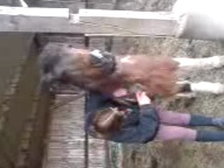 ANAÏS (toujour aussi aimable,com dab, lol) et PUPUCE