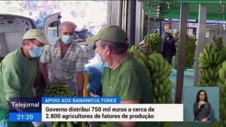 Governo Regional distribui 750 mil euros a cerca de 2800 agricultires de banana