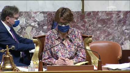 1ère séance : Lutte contre le dérèglement climatique (suite) - Mercredi 7 avril 2021