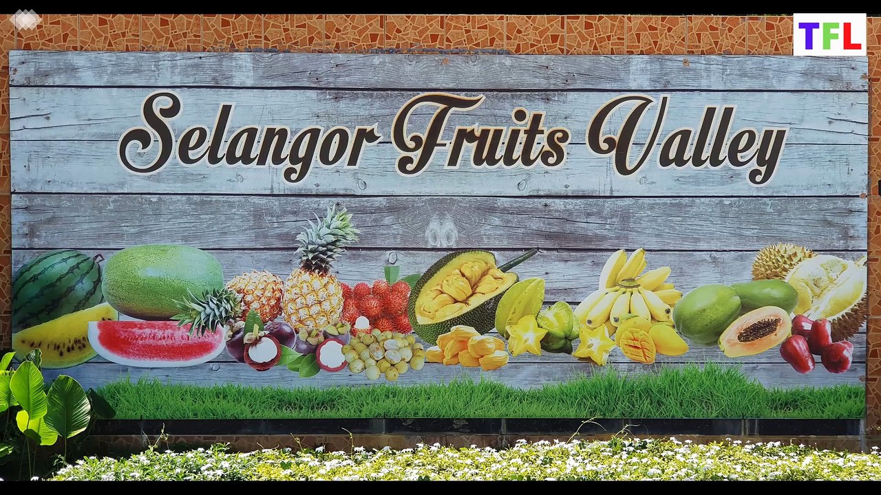 Selangor Fruit Valley