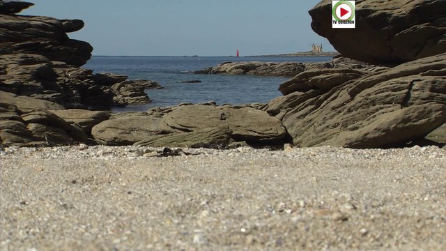 Quiberon | Confinés en bord de mer - TV Quiberon 24/7