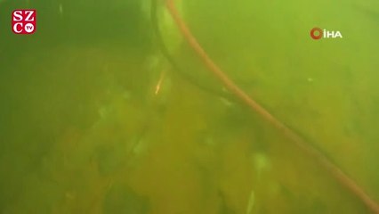 Dev gemi su altında parçalanıyor