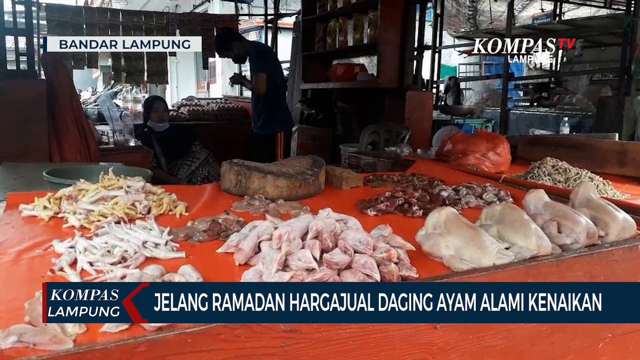 Jelang Ramadan Harga Daging Ayam Alami Kenaikan