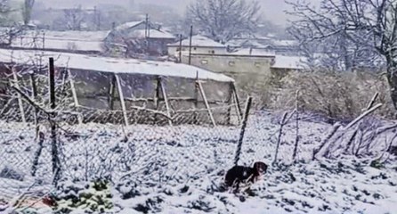 Beklenen kar Balkanlar’dan ülkeye giriş yaptı