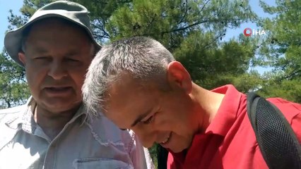 Mavi Safir Taşı Madeni Türkiye'de Bulundu! 50 Milyar Dolarlık Potansiyel Var