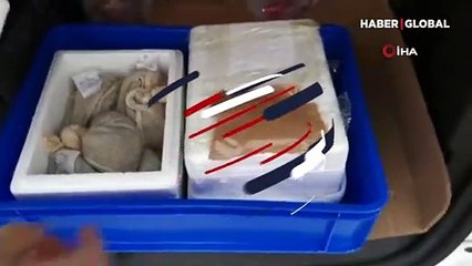 Sabiha Gökçen'de akılamaz olay! Yolcunun valizinden 3 bin 300 adet sülük çıktı