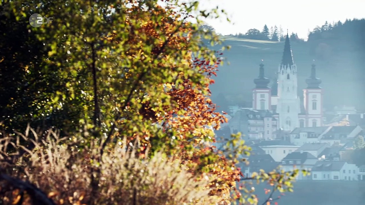 SOKO Wien: Auf Abwegen | Folge 11/Staffel 12