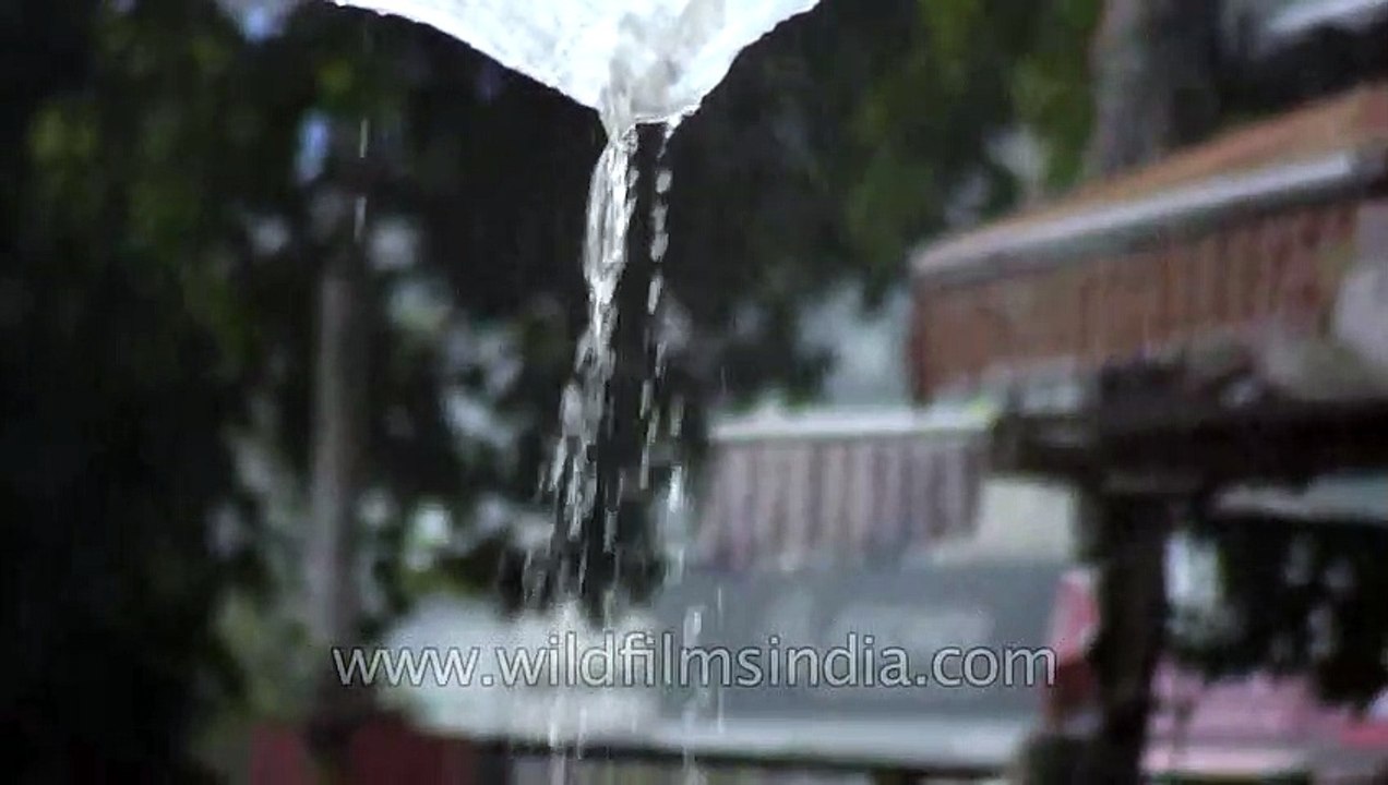 People protect themselves under the umbrella in a rainy day