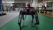 Çinli mühendisler dünyanın en hızlı köpek robotu AlphaDog'u geliştirdi