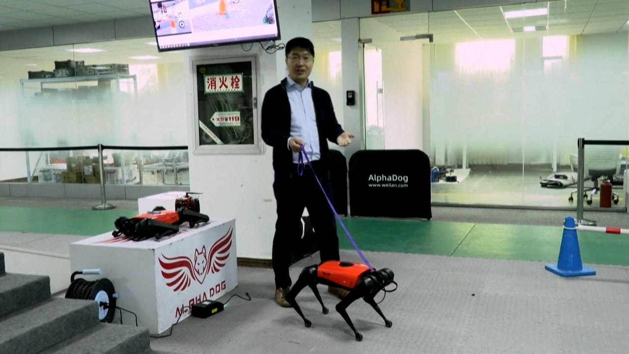 Roboter-Hunde zum Gassi gehen