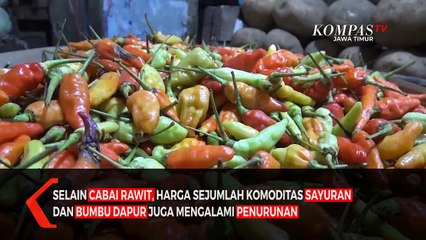 Stok Melimpah Harga Cabai Rawit di Jember Turun