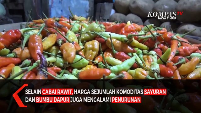 Stok Melimpah Harga Cabai Rawit di Jember Turun