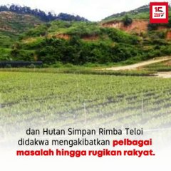 Kaji semula projek musang king