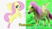  My Little Pony Characters As Unicorn Horse New 2020 - 2021 | @Yunikor Life
