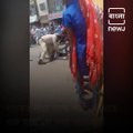Madhya Pradesh Cops Thrash Man For Not Wearing Mask In Public