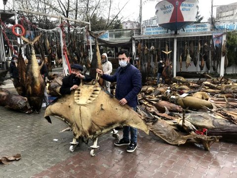 CHP'li belediyenin yıkım kararı aldığı balık müzesinin kurucusu Kenan Balcı, Cumhurbaşkanı Erdoğan'a seslendi- Müze kurucusu Kenan Balcı, Türkiye...