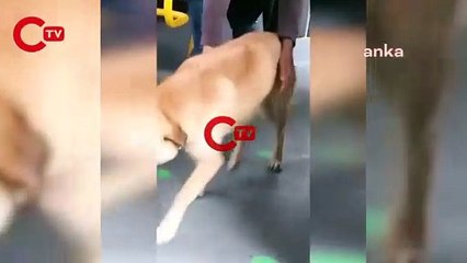 Tunç Soyer paylaştı: İzmir'in 400.001'inci yolcusu