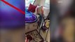 Camping Couple Finds 6.5-Foot Lizard Nosing Inside Their Caravan; Even Getting On Their Bed