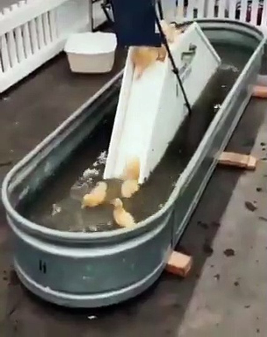 Best videos, Top videos, Viral videos Funny videos no. 54