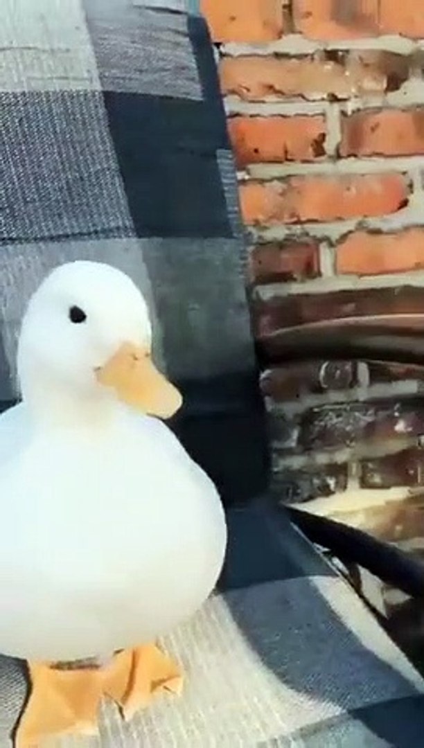 Best videos, Top videos, Viral videos Funny videos no. 57