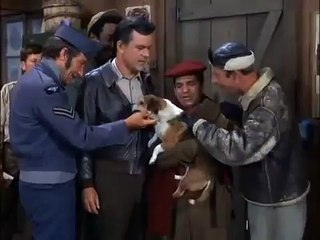 [Part 1: Dog] Ja, He Is That Stupid - Hogan'S Heroes 4X6