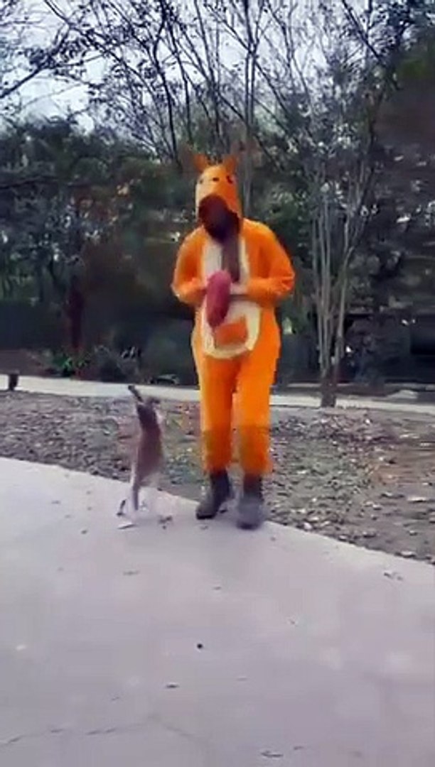 Best videos, Top videos, Viral videos Funny videos no. 62