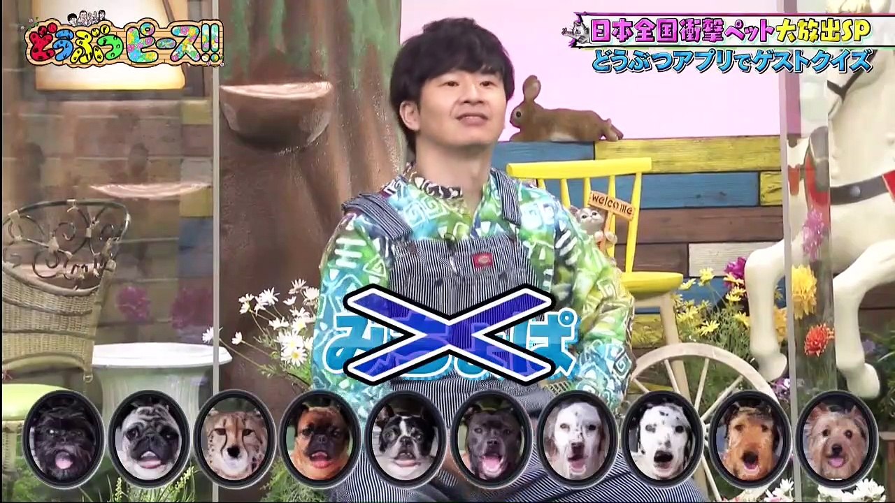 どうぶつピース！！2021年4月8日 -(edit 1/2)