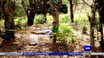 Picadura de abejas dejó un muerto y tres heridos  - Nex Noticias