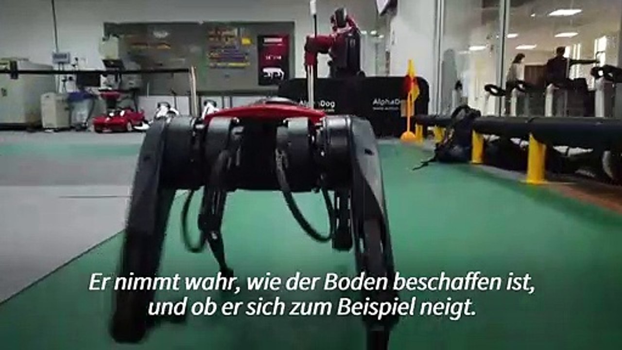 Roboterhund überwindet jedes Hindernis