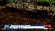 GROWING YOUR GARDEN: Getting your seedlings started