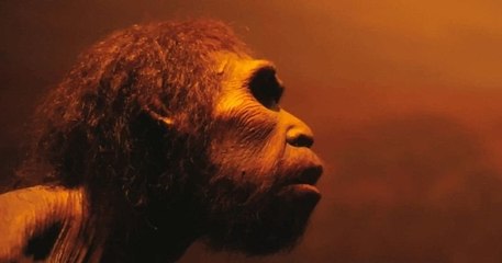 La science est formelle, l'Homme a été un superprédateur hypercarnivore pendant 2 millions d'années