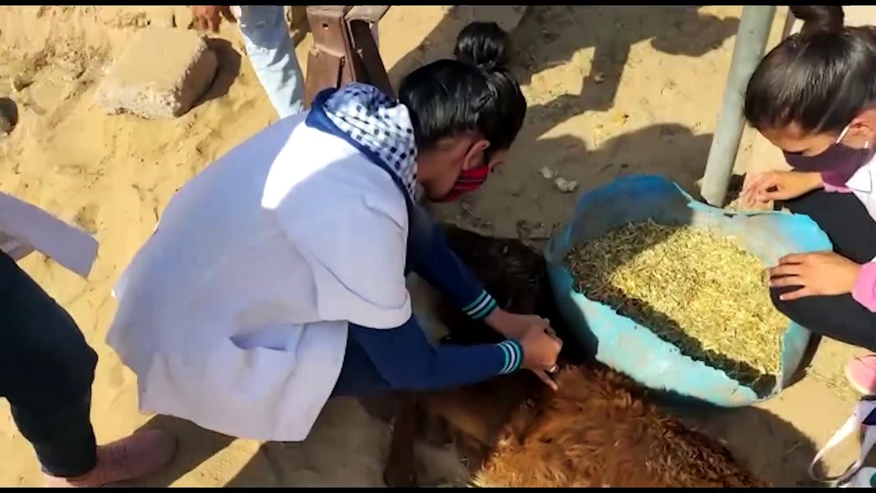 मेरा पशु चिकित्सालय मेरा अभिमान : स्कूलों की तर्ज पर अब बदलेगी वेटरनरी हॉस्पिटल्स की दशा