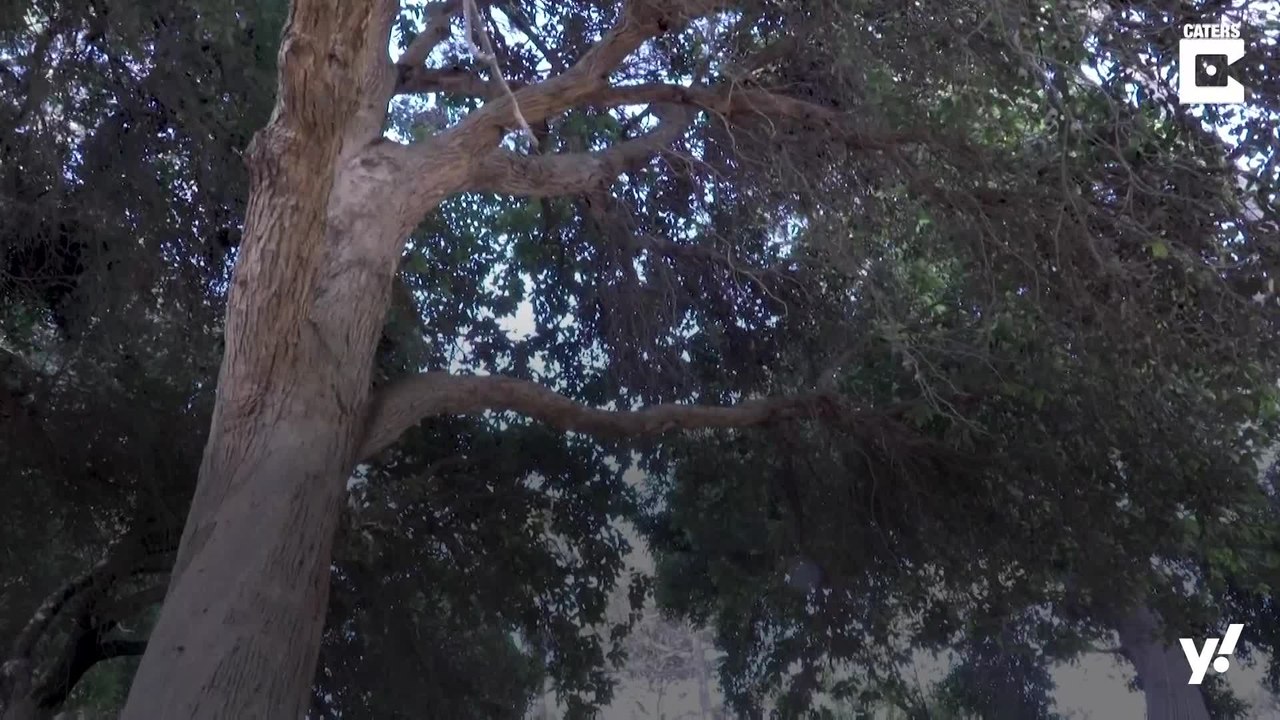 Junger Ingenieur baut echten Enterhaken