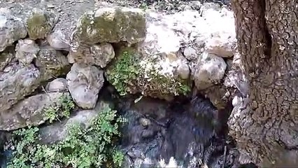 إلى محبي الفراشات: أنتم على موعد مع الآلاف في وادي الفراشات