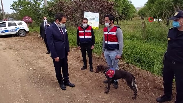 Datça’da geniş kapsamlı denetim yapıldı