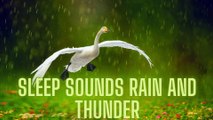 Sleep Music Rain - Storm Sounds for Sleep