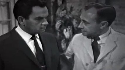 Doctor Who S02E02 Planet of Giants Pt 2 Dangerous Journey