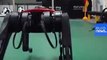 Çinli mühendisler üretti… İşte ‘Dünyanın en hızlı  robot köpeği’