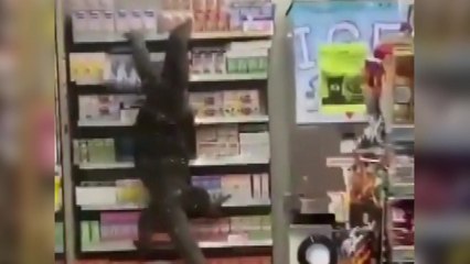 편의점에 거대한 왕도마뱀...손님들 혼비백산 / YTN